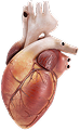 top-platforms-inner-data-icon