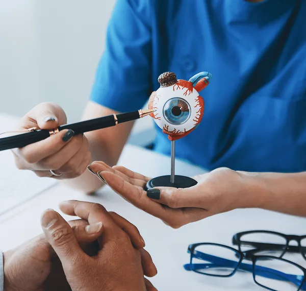 Hands holding a model of an eye and pointing with a pen, with eyeglasses on the table